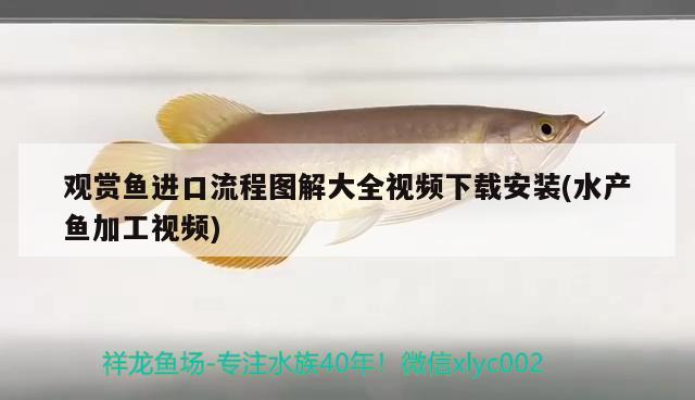 觀賞魚進口流程圖解大全視頻下載安裝(水產(chǎn)魚加工視頻)