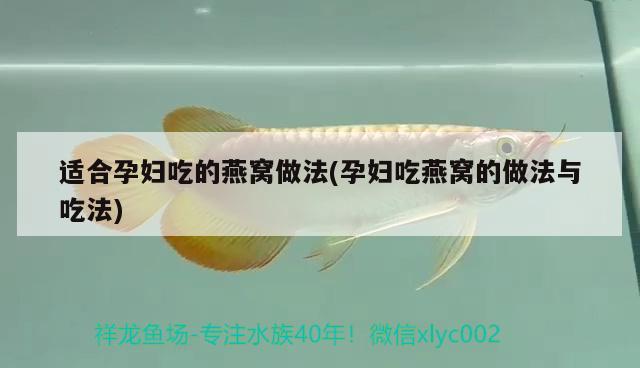 獅子頭黑白畫(huà)：知道的說(shuō)說(shuō)金魚(yú)的種類(lèi)有多少