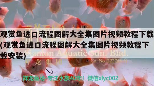 觀賞魚進(jìn)口流程圖解大全集圖片視頻教程下載(觀賞魚進(jìn)口流程圖解大全集圖片視頻教程下載安裝)