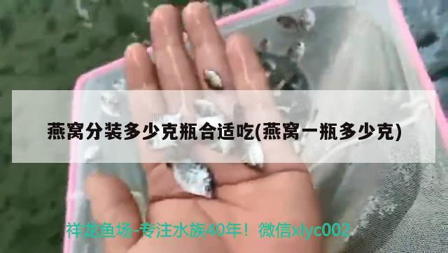 燕窩分裝多少克瓶合適吃(燕窩一瓶多少克)