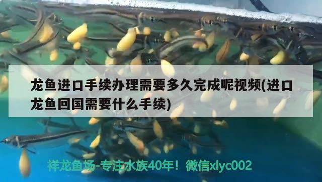 魚缸水泵可以一直開嗎（魚缸水泵一直開嗎會壞嗎） 魚缸水泵 第3張