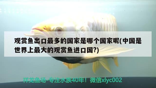 觀賞魚出口最多的國家是哪個(gè)國家呢(中國是世界上最大的觀賞魚進(jìn)口國?) 觀賞魚進(jìn)出口