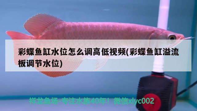 彩蝶魚(yú)缸水位怎么調(diào)高低視頻(彩蝶魚(yú)缸溢流板調(diào)節(jié)水位)