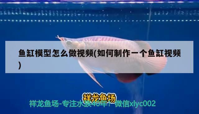 魚缸模型怎么做視頻(如何制作一個魚缸視頻)