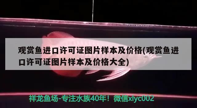 觀賞魚(yú)進(jìn)口許可證圖片樣本及價(jià)格(觀賞魚(yú)進(jìn)口許可證圖片樣本及價(jià)格大全) 觀賞魚(yú)進(jìn)出口