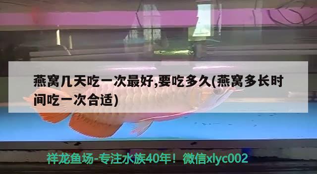 銀龍魚(yú)互相咬是怎么回事啊（銀龍魚(yú)互相咬是怎么回事啊視頻） 銀龍魚(yú) 第4張