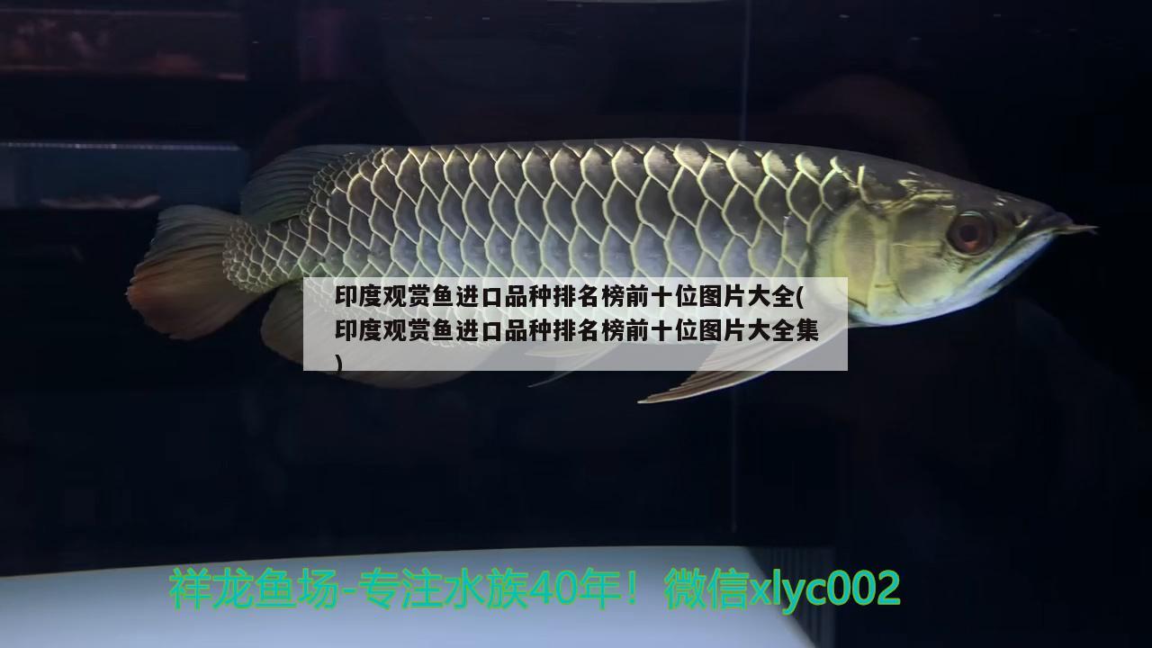 長沙金龍魚油在哪里進貨（金龍魚油是國產(chǎn)的嗎）