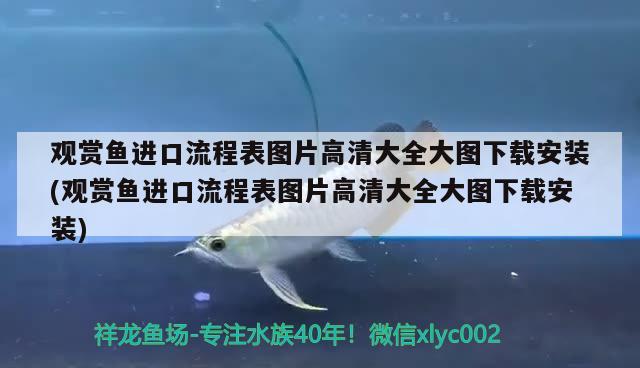 觀賞魚(yú)進(jìn)口流程表圖片高清大全大圖下載安裝(觀賞魚(yú)進(jìn)口流程表圖片高清大全大圖下載安裝) 觀賞魚(yú)進(jìn)出口