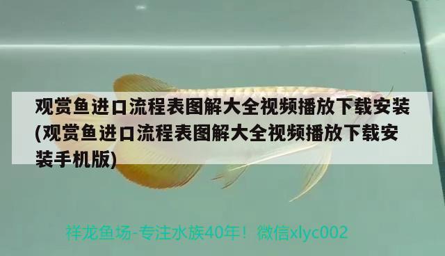 觀賞魚進口流程表圖解大全視頻播放下載安裝(觀賞魚進口流程表圖解大全視頻播放下載安裝手機版) 觀賞魚進出口