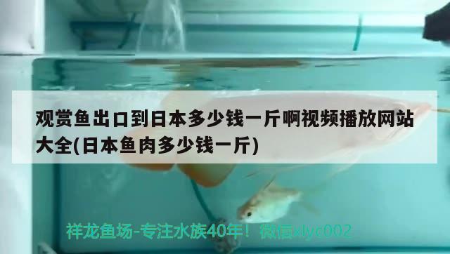 觀賞魚出口到日本多少錢一斤啊視頻播放網(wǎng)站大全(日本魚肉多少錢一斤) 觀賞魚進(jìn)出口