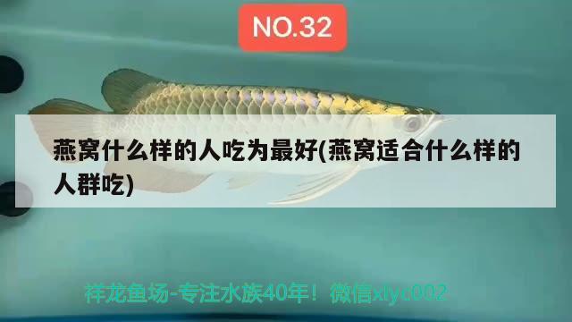 資陽(yáng)魚(yú)缸定做（資陽(yáng)魚(yú)缸定做電話） 祥龍赫舞紅龍魚(yú) 第3張