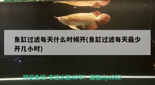 魚缸過(guò)濾每天什么時(shí)候開(kāi)(魚缸過(guò)濾每天最少開(kāi)幾小時(shí)) 印尼四紋虎 第2張