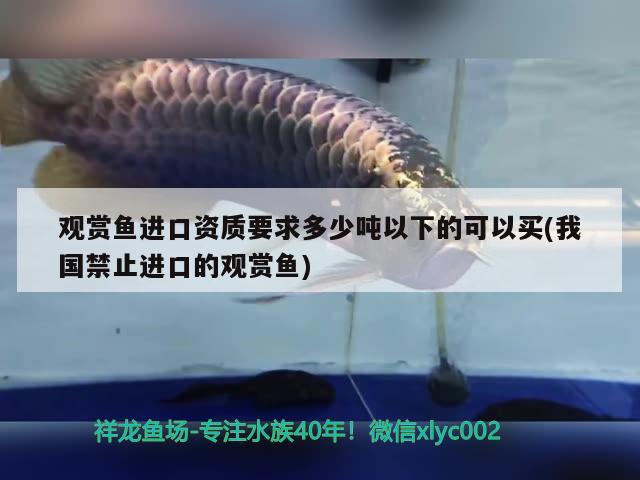 北京哪里有賣魚缸的市場：北京哪里賣魚缸的地方