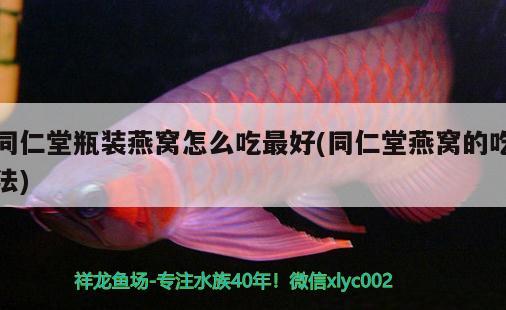 玉石能放到魚(yú)缸養(yǎng)嗎視頻  黑桃A魚(yú)苗 第3張