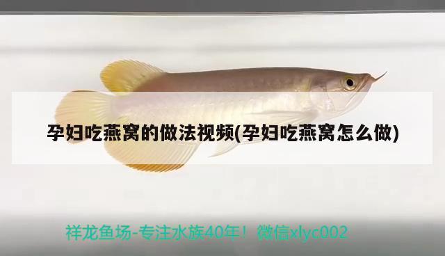 森森魚缸顯示屏說明書：森森魚缸數(shù)字顯示屏怎么安裝圖解