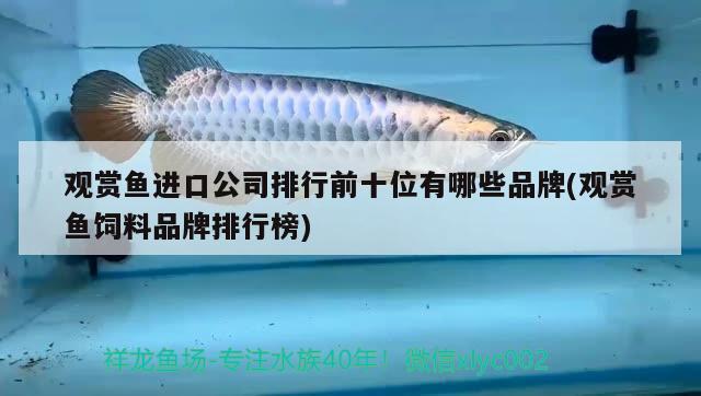 觀賞魚進口公司排行前十位有哪些品牌(觀賞魚飼料品牌排行榜) 觀賞魚進出口