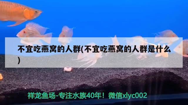 不宜吃燕窩的人群(不宜吃燕窩的人群是什么) 馬來西亞燕窩