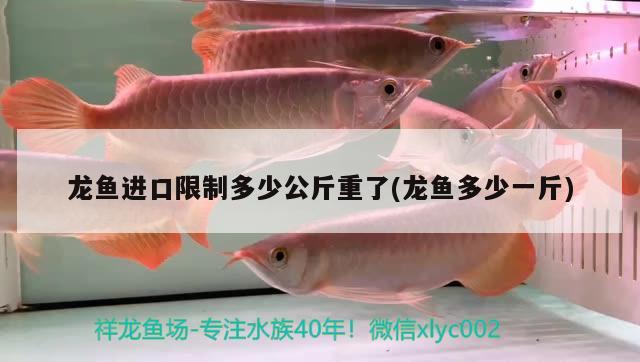 龍魚進(jìn)口限制多少公斤重了(龍魚多少一斤) 觀賞魚進(jìn)出口