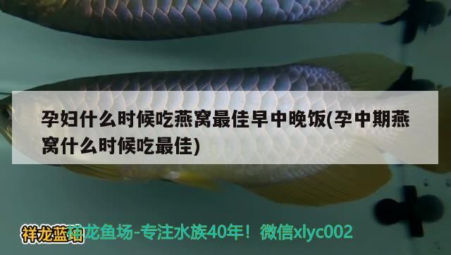 孕婦什么時(shí)候吃燕窩最佳早中晚飯(孕中期燕窩什么時(shí)候吃最佳)