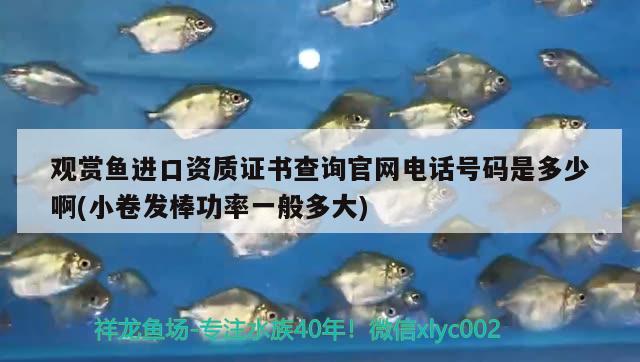 上海觀賞魚進口商家電話號碼查詢網(wǎng)站(上海觀賞魚養(yǎng)殖場地址) 觀賞魚進出口