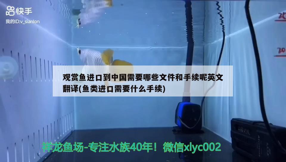 觀賞魚進口到中國需要哪些文件和手續(xù)呢英文翻譯(魚類進口需要什么手續(xù)) 觀賞魚進出口