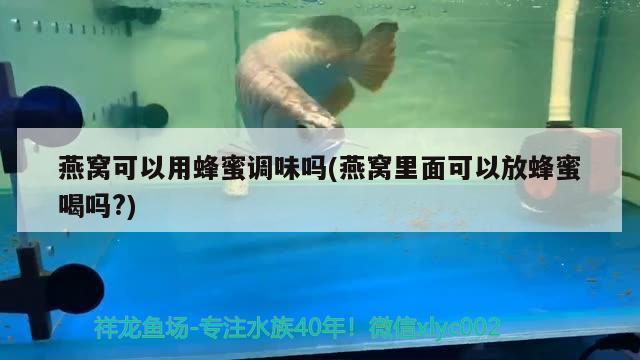 魚食十大品牌排行榜最新(品牌魚食排名) 白子黑帝王魟魚 第3張