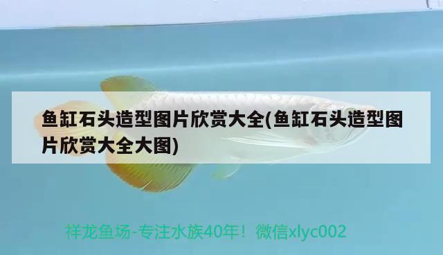 魚食十大品牌排行榜最新(品牌魚食排名) 白子黑帝王魟魚 第2張