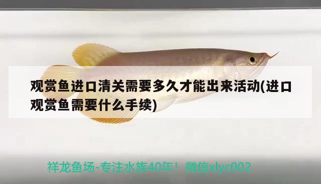 觀賞魚進口清關(guān)需要多久才能出來活動(進口觀賞魚需要什么手續(xù)) 觀賞魚進出口