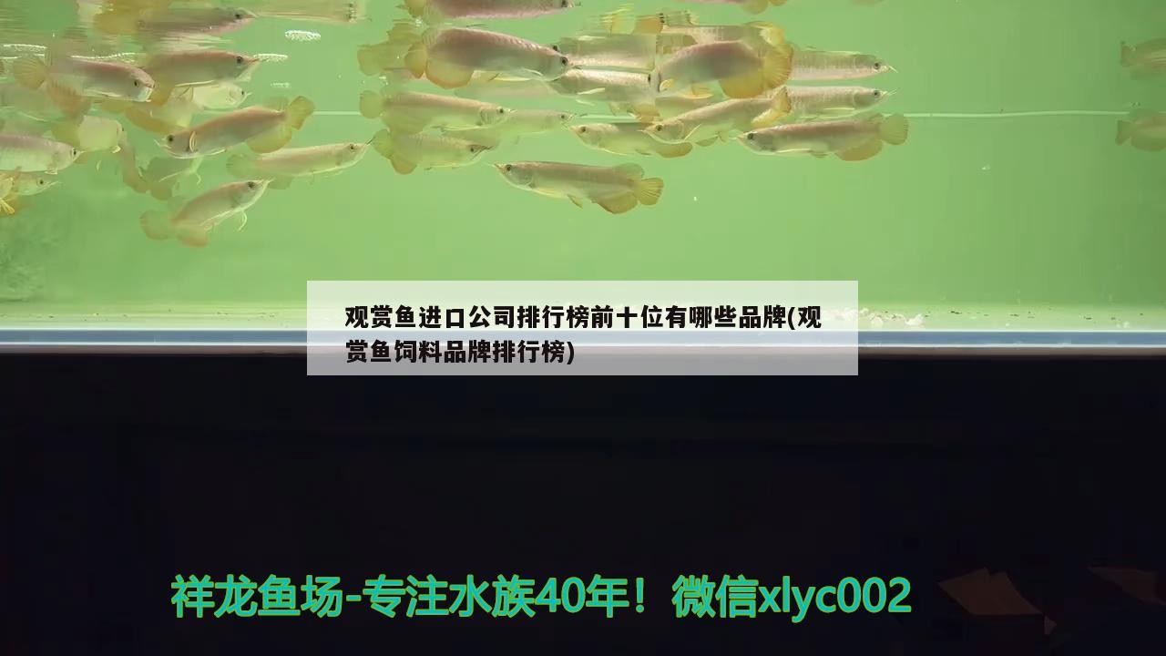 煮熟的鴨子飛了