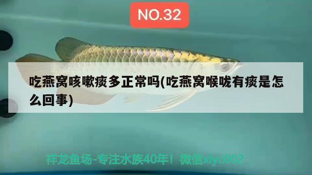 魚缸蓋子制作方法：魚缸蓋怎么定做 養(yǎng)魚的好處 第2張