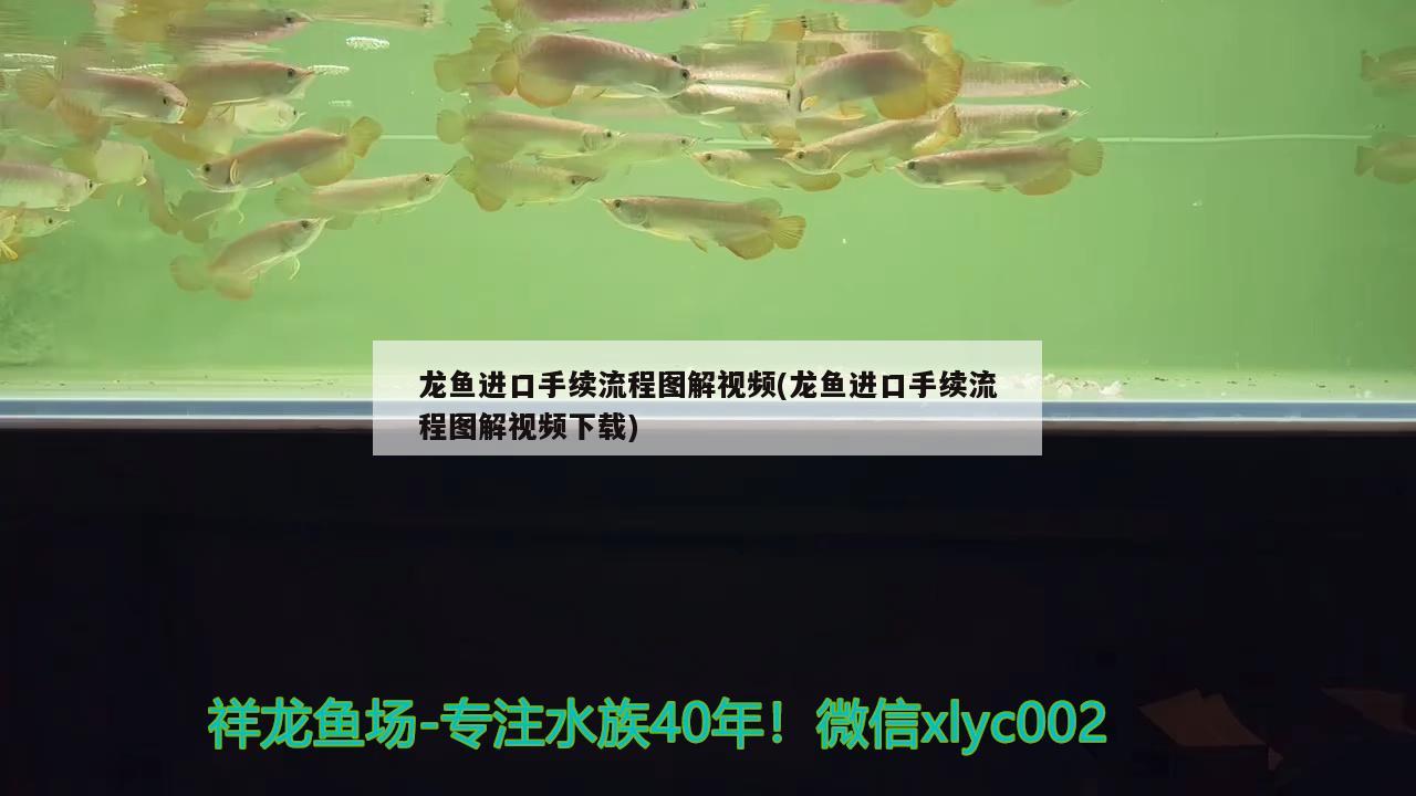 魚缸吸水石假山景觀：吸水石魚缸造景