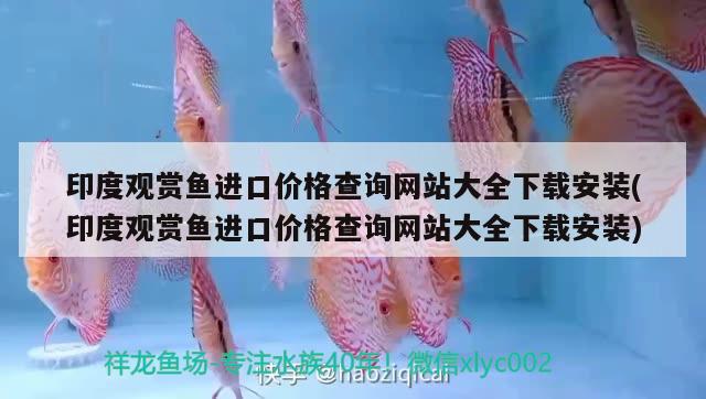 魚缸魚的顏色搭配圖片(魚缸什么顏色好看圖片) 白子球鯊魚 第2張