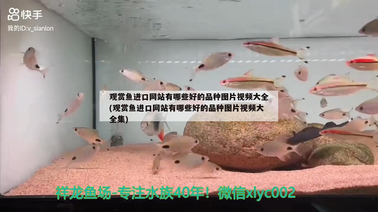 天寶水族魚(yú)缸好不好用（天寶魚(yú)缸怎么樣）