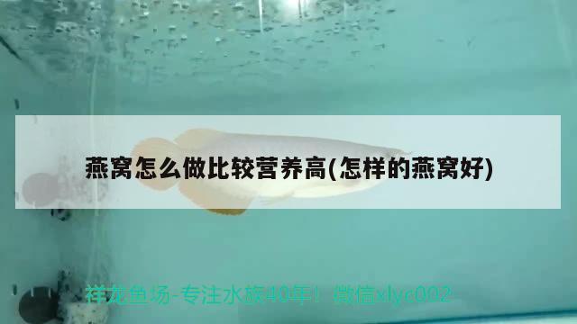 幻彩羅漢魚和金龍魚可以混養(yǎng)嗎，泰金羅漢魚和金花羅漢魚有什么區(qū)別