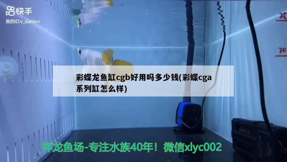 彩蝶龍魚缸cgb好用嗎多少錢(彩蝶cga系列缸怎么樣) 朱巴利魚