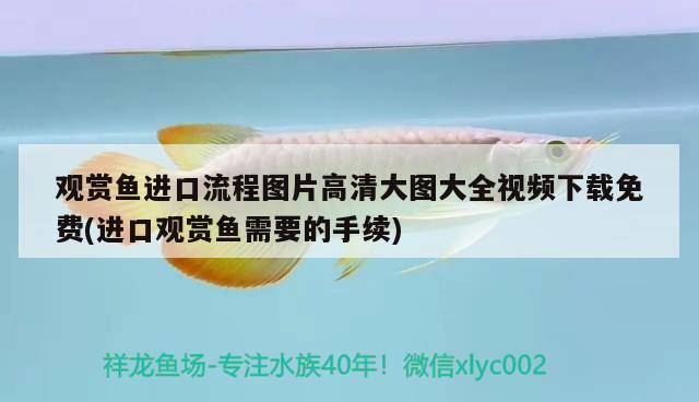 魚缸燈漏電怎么辦：魚缸燈漏電怎么辦視頻 廣州水族批發(fā)市場 第1張