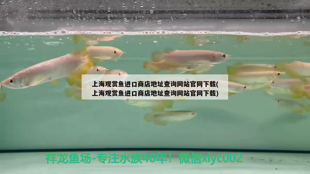 上海觀賞魚進(jìn)口商店地址查詢網(wǎng)站官網(wǎng)下載(上海觀賞魚進(jìn)口商店地址查詢網(wǎng)站官網(wǎng)下載) 觀賞魚進(jìn)出口