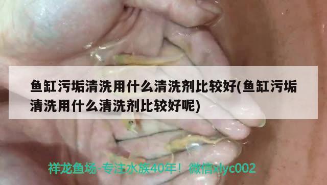 魚缸污垢清洗用什么清洗劑比較好(魚缸污垢清洗用什么清洗劑比較好呢)