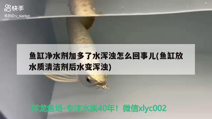 魚缸凈水劑加多了水渾濁怎么回事兒(魚缸放水質清潔劑后水變渾濁) 祥龍水族護理水