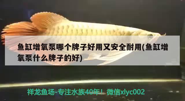 賀州水族批發(fā)市場在哪里啊電話號碼（賀州活魚批發(fā)）