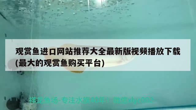 觀賞魚(yú)進(jìn)口網(wǎng)站推薦大全最新版視頻播放下載(最大的觀賞魚(yú)購(gòu)買(mǎi)平臺(tái)) 觀賞魚(yú)進(jìn)出口