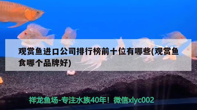 觀賞魚進(jìn)口公司排行榜前十位有哪些(觀賞魚食哪個(gè)品牌好) 觀賞魚進(jìn)出口