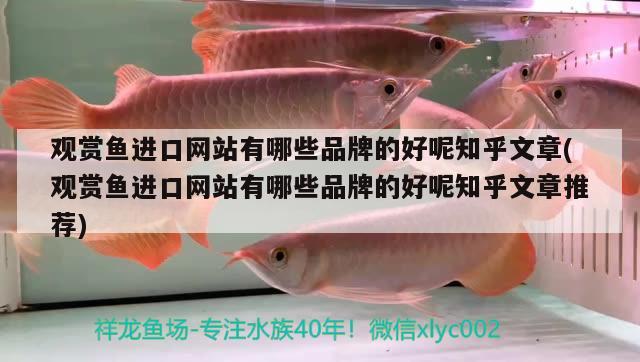 觀賞魚進口網(wǎng)站有哪些品牌的好呢知乎文章(觀賞魚進口網(wǎng)站有哪些品牌的好呢知乎文章推薦) 觀賞魚進出口