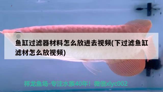 魚缸過濾器材料怎么放進(jìn)去視頻(下過濾魚缸濾材怎么放視頻) 黑水素