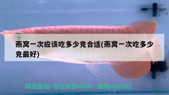 常州小型魚缸定做哪家做的好，可以定做魚缸蓋子嗎