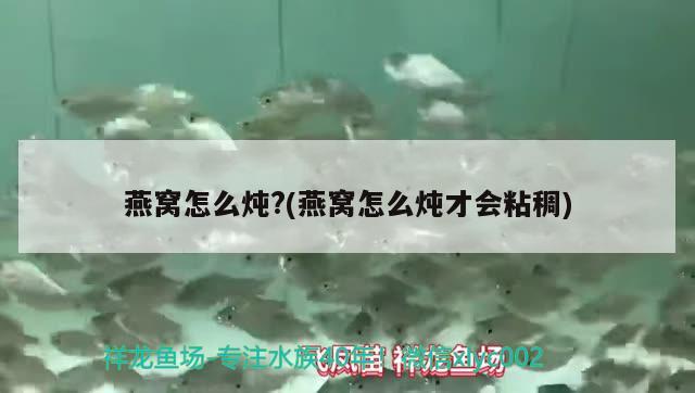 羅非魚可以在魚缸里飼養(yǎng)嗎(羅非魚可以在魚缸里飼養(yǎng)嗎) 福滿鉆魚