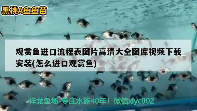 底濾魚缸改上濾魚缸視頻（底濾缸怎么改成上濾） 哥倫比亞巨暴魚苗