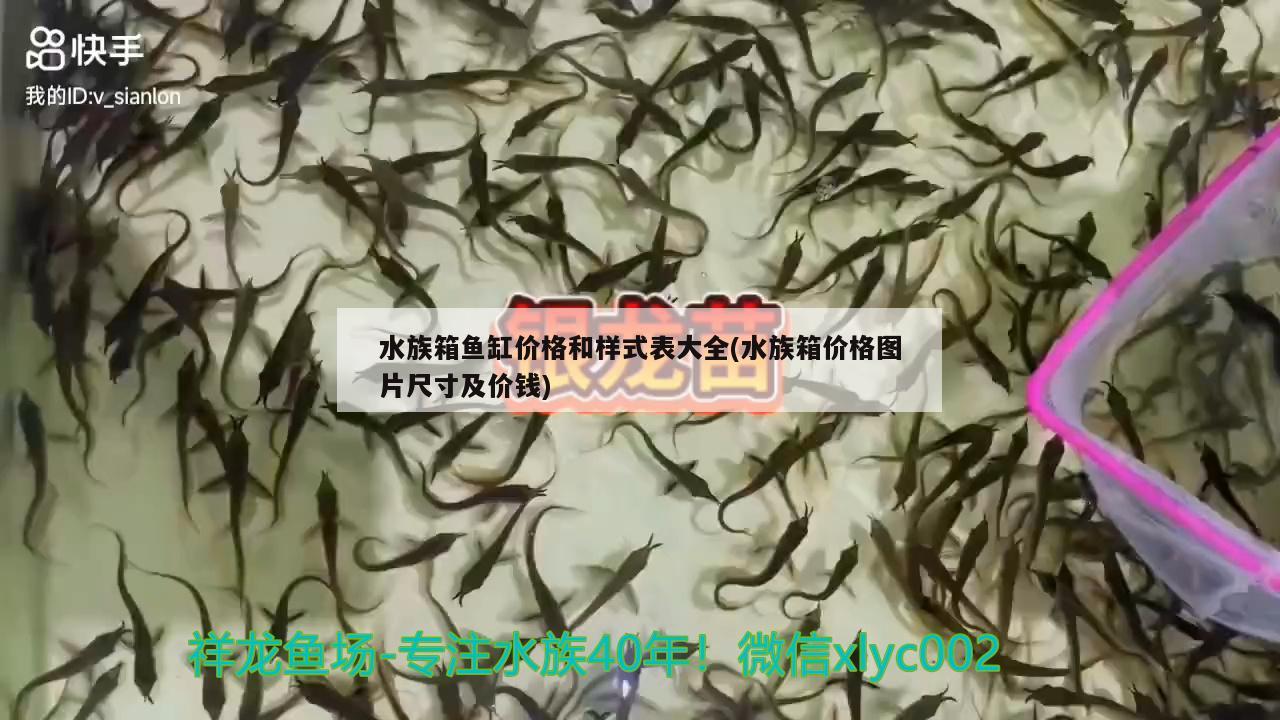 水族箱魚缸價(jià)格和樣式表大全(水族箱價(jià)格圖片尺寸及價(jià)錢) 魚缸/水族箱