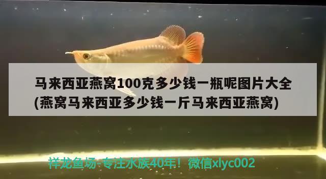 馬來西亞燕窩100克多少錢一瓶呢圖片大全(燕窩馬來西亞多少錢一斤馬來西亞燕窩)