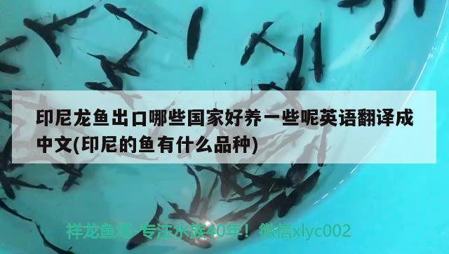 蘭州魚缸維修電話號碼多少（蘭州哪里批發(fā)魚缸，魚盆等）